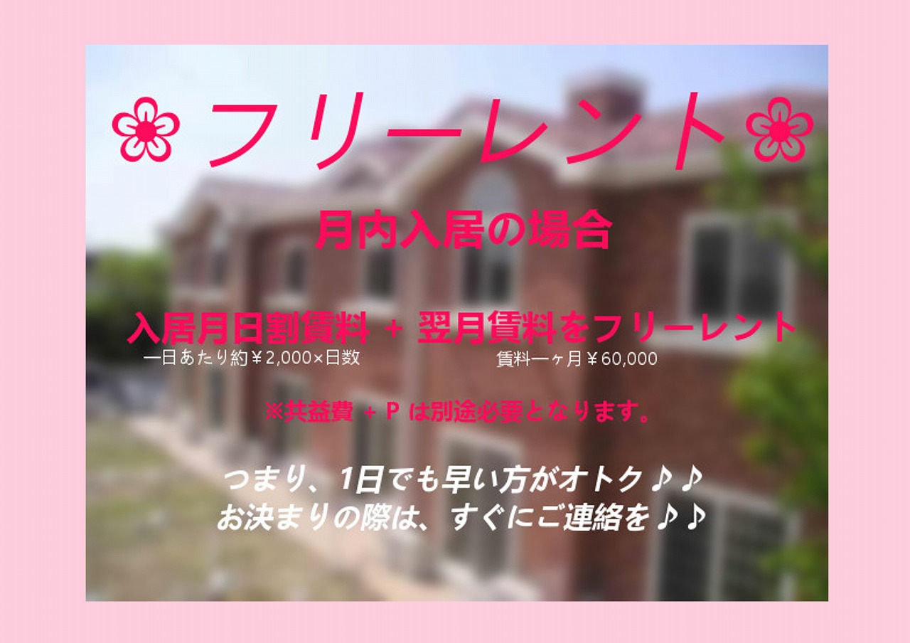 mezondo_buro-nyu_4_freerent4